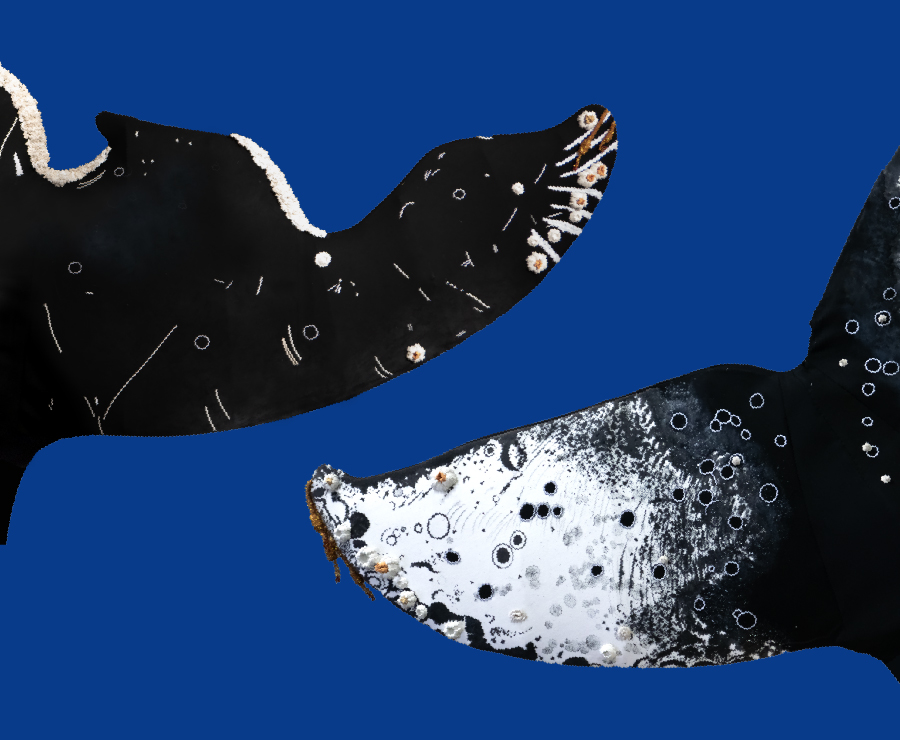 New Co-Commission by Museum of Art Pudong and Tate:  Carolina Caycedo: Salute of the Whales Makes Its Global Premiere in Hall X